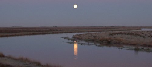 Naturkanon: Alle elever i Naturens Rige skal lære om udvalgte særlige naturperler